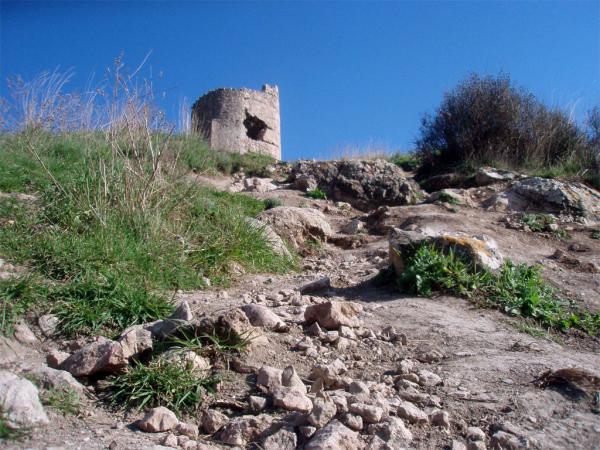 �������� �������. ����