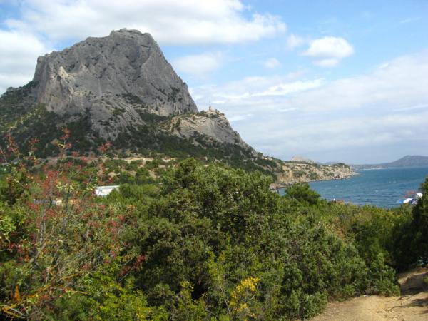 ���� �����. ����