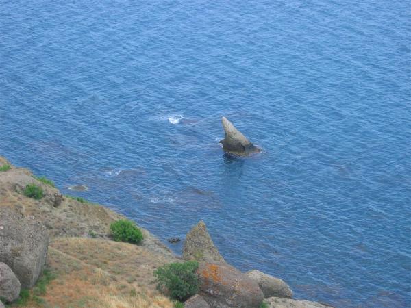 ��� �������. ����